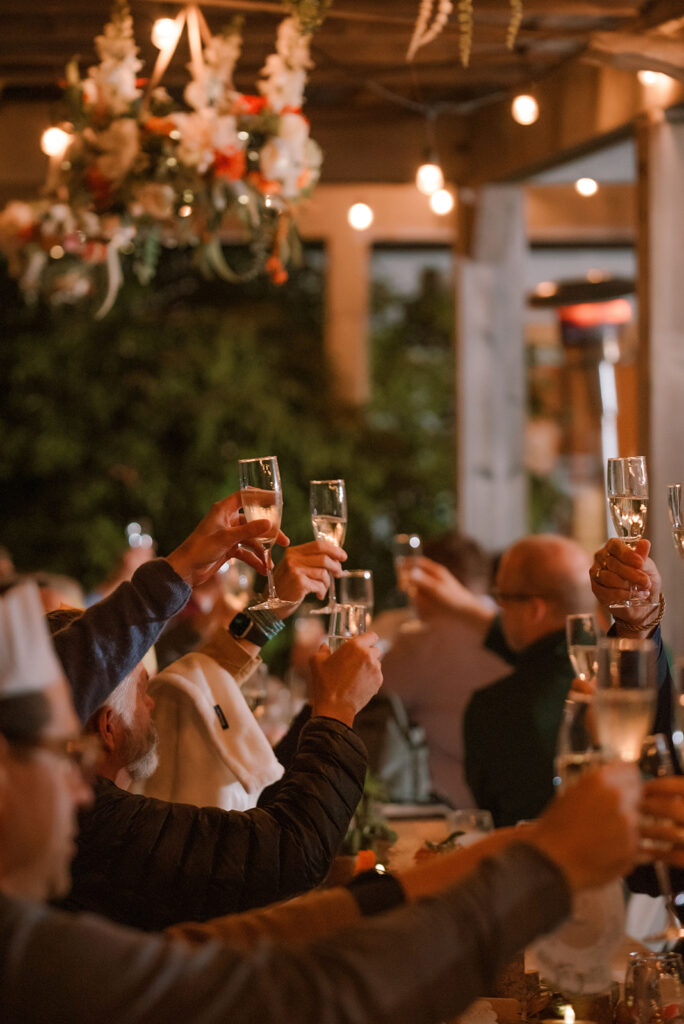 guests raise glasses in a toast